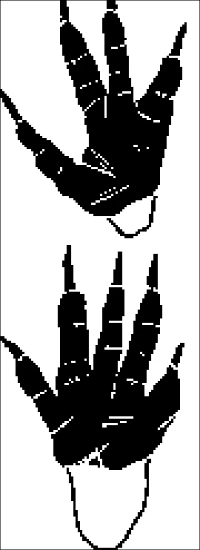 Quel animal se cache derrière cette empreinte ?