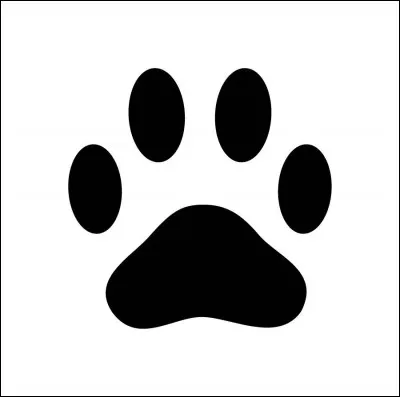 Quel animal se cache derrière cette empreinte ?