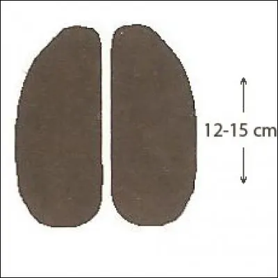 Quel animal se cache derrière cette empreinte ?