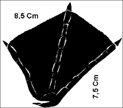 Quel animal se cache derrière cette empreinte ?