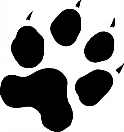 Quel animal se cache derrière cette empreinte ?