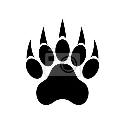 Quel animal se cache derrière cette empreinte ?