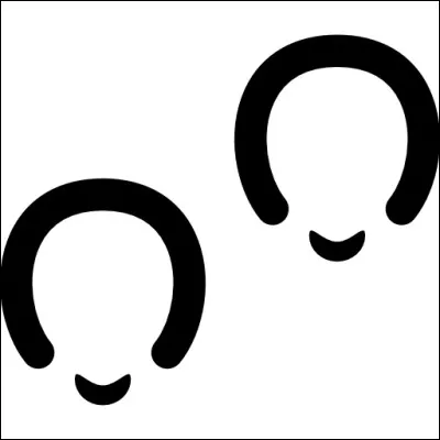 Quel animal se cache derrière cette empreinte ?