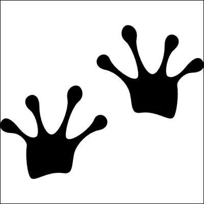 Quel animal se cache derrière cette empreinte ?