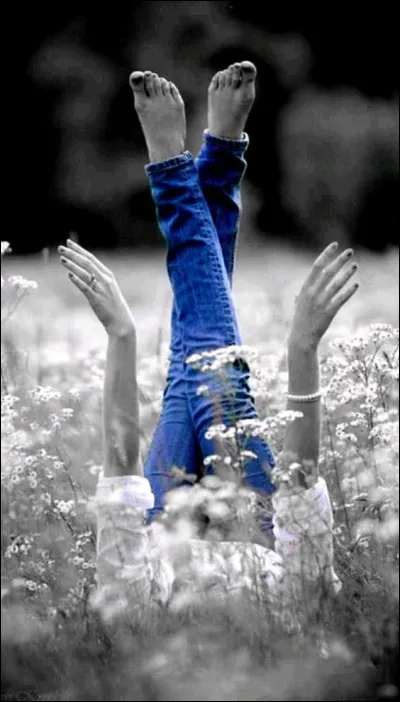 Si vous me reprochez d'avoir créé ce quiz, un peu court, avec ses 17 questions, que vais-je vous répondre si je vous trouve bien exigeants ?