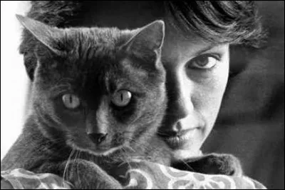 À quelle actrice française doit-on le roman "Les chats de hasard" ?