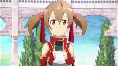Qui est Silica ?