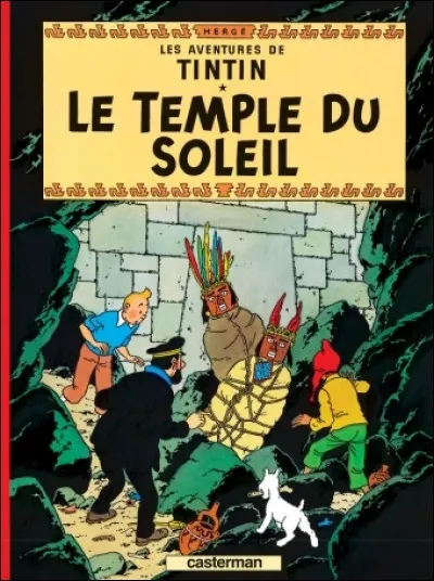 Quel est le pays visit&eacute; par Tintin au cours de cette aventure ?