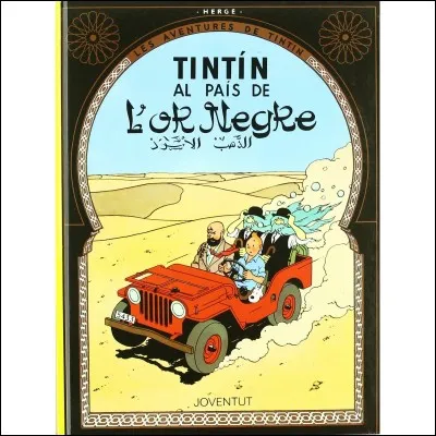 Quel est l'un des pays visit&eacute;s par Tintin au cours de cette aventure ?