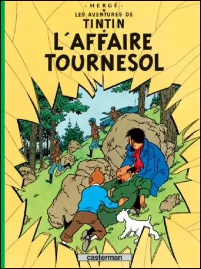 Quel est l'un des pays visit&eacute; par Tintin au cours de cette aventure ?
