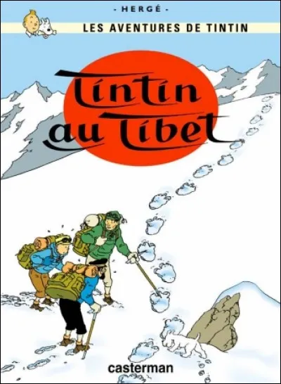Quel est l'un des pays visit&eacute;s par Tintin au cours de cette aventure ?