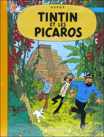 Quel est l'un des pays visit&eacute;s par Tintin au cours de cette aventure ?