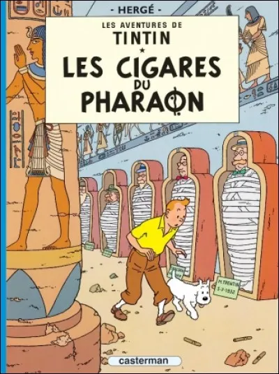 Quel est l'un des pays visit&eacute;s par Tintin au cours de cette aventure ?