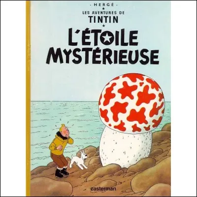 Quel est l'un des pays visit&eacute;s par Tintin au cours de cette aventure ?