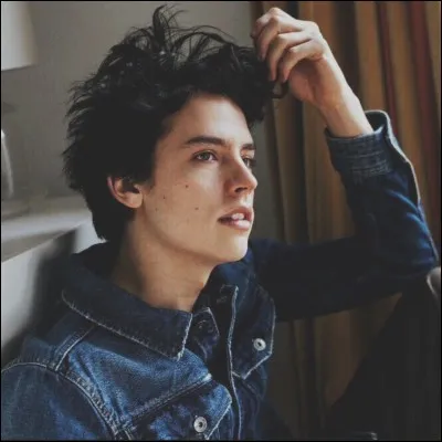 Quel garçon préfères-tu ?