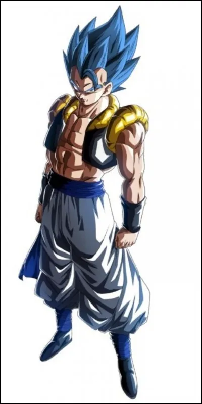 Quel est le deuxième nom de Gogeta ?