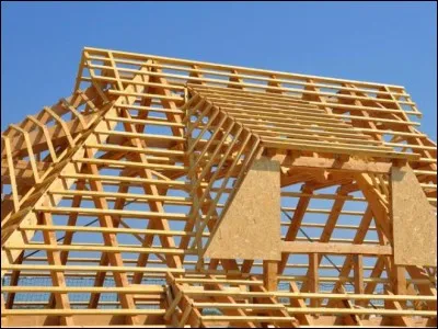 Complétez la phrase avec le verbe au futur antérieur de l'indicatif : "Dans trois semaines, ils  la charpente" ?