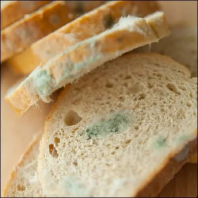 Laquelle de ces propositions ne désigne pas le verbe "moisir" à l'impératif passé ?