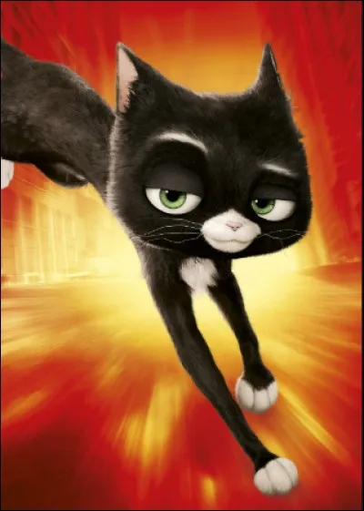 Dans quel film peut-on voir le chat Mitaine ?