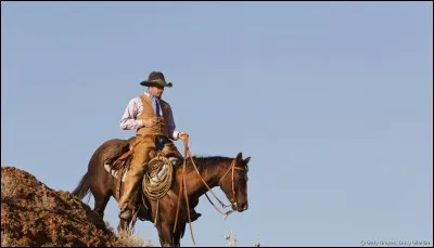 N'est pas sacré en Inde, c'est le...