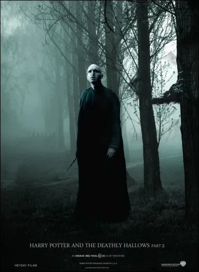 Lors d'un duel quel sortilège utilises-tu ?