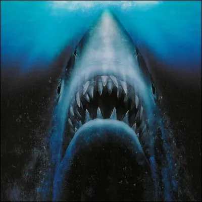 De tous les animaux qui hantent les fonds marins, le requin est le plus redouté. Un seul est inoffensif, lequel ?