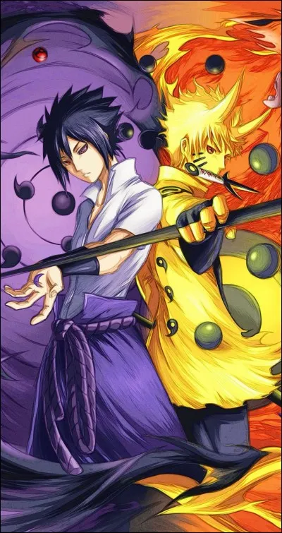 Naruto et Sasuke combattent ...