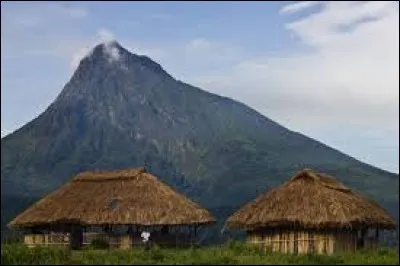 Pays : Ouganda 
Hauteur : 4 884 m 
Massif : Rwenzori
Première ascension : 1906. Louis-Amédée de Savoie
Quel est ce sommet ?