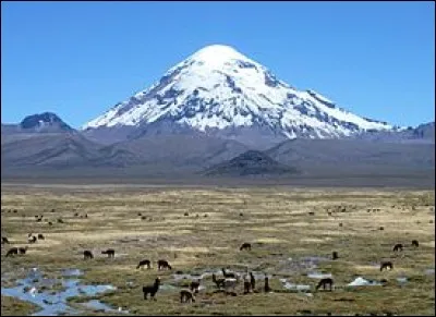 Pays : Bolivie 
Hauteur : 6 542 m 
Massif : Cordillère Occidentale 
Première ascension : 1939. Wilfrid Kühm et Josef Prem
Quel est ce sommet ?