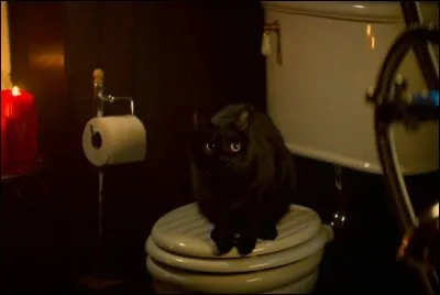 Comment se nomme le familier de Sabrina ?