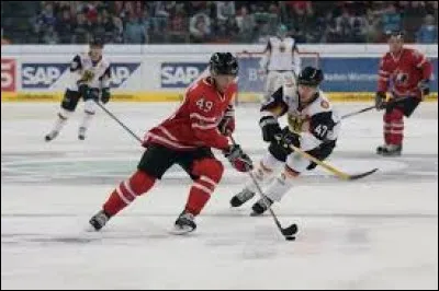 Le hockey sur glace est un sport originaire de Su&egrave;de.