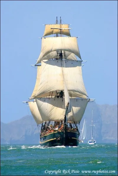 Il s'agit de la première réplique de ce navire historique : on la voit dans la baie de San Francisco : elle a été construite en 1960 pour le film avec Marlon Brando. C'était une réplique exacte mais avec 20% de plus : ce voilier coule en 2012 au large de la Caroline du Nord, pendant l'ouragan Sandy.
Quel est ce navire dont une 2e réplique été faite pour le film avec Mel Gibson ?