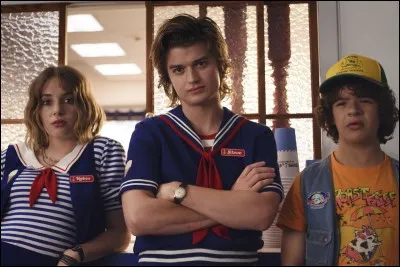 Quel est le nom du magasin dans lequel travaillent Steve et Robin ?