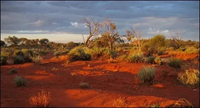 Quel nom donne-t-on à l'arrière-pays australien, constitué de savane, de forêts touffues, de bois et broussailles ?