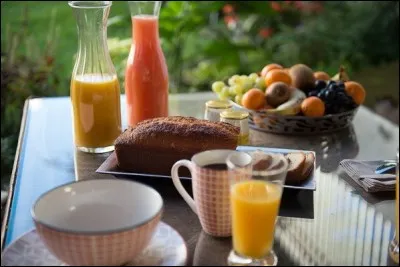 Quel chanteur suisse nous dit qu'il veut "Déjeuner en paix" ?