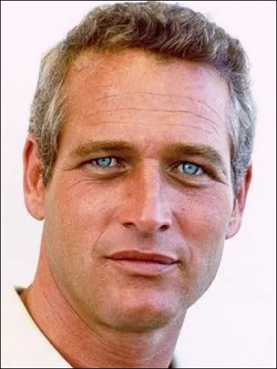 Qui est ce Paul, acteur, réalisateur, producteur et scénariste américain ?