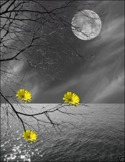 Quels étaient les acteurs du film de Lelouch "Il y a des jours et des lunes" ?