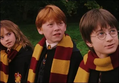 De quel volet de la saga "Harry Potter" est extraite cette photo ?