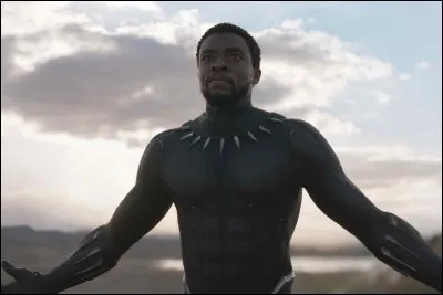 Quel est le pays de Black Panther ?