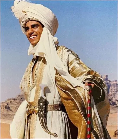 Comment s'appelle Aladdin en tant que prince ?