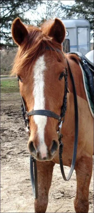 Quelle est cette liste ?