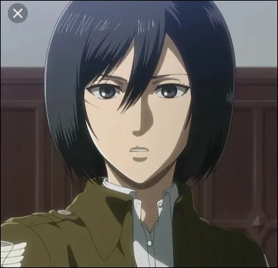 Que porte tout le temps Mikasa ?