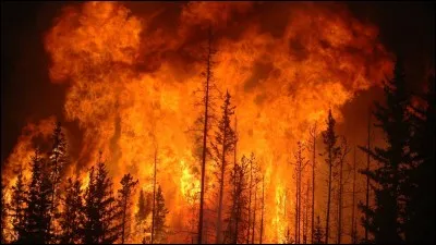 "Burn after reading" est un long-métrage interprété par Georges Clooney.