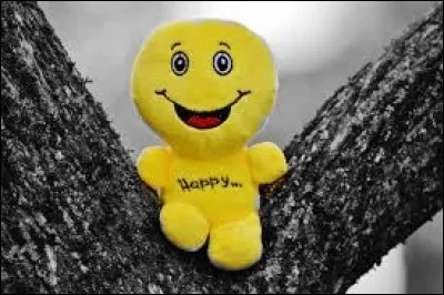 On termine avec ce bon mot de Raymond Devos : Qui prête à rire...."