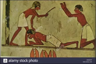 Seuls les pharaons et leurs épouses étaient momifiés.