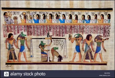 Qu'est-ce qu'un némès ?