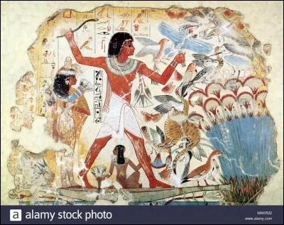 Le cerveau de la momie était retiré par les narines.