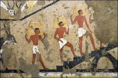 Qu'est-ce qu'un cartouche ?