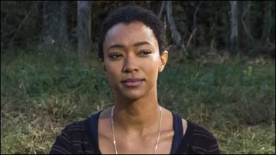 Quel est ce personnage de la série ?