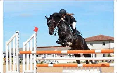 Aimes-tu les sensations fortes ?